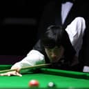 Credit: WPBSA